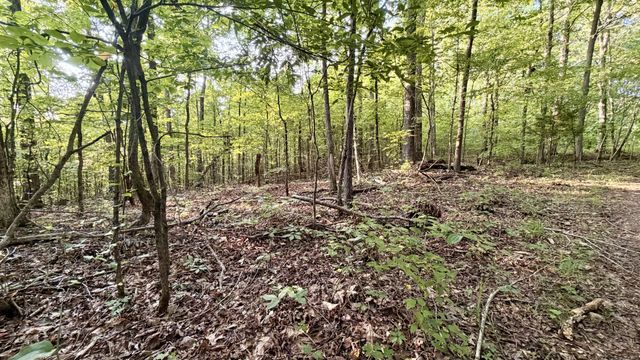 309 Charley Davis Rd, Goodspring, TN 38460
