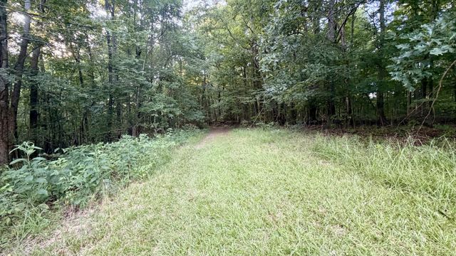309 Charley Davis Rd, Goodspring, TN 38460