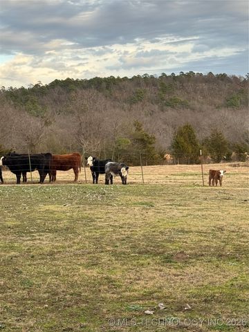 41 Lynnwood, Hartshorne, OK 74547