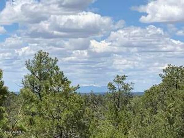 7137 W Mogollon Trail, Happy Jack, AZ 86024