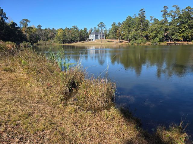 3644 Lake Marston Drive, Orangeburg, SC 29118