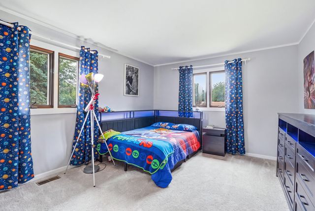 16123 S Peerless Drive, Plainfield, IL 60586