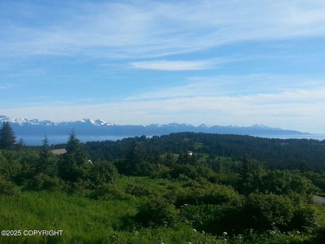41650 Charlie Drive, Homer, AK 99603