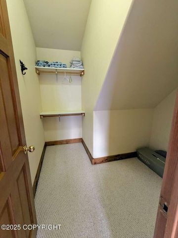41650 Charlie Drive, Homer, AK 99603