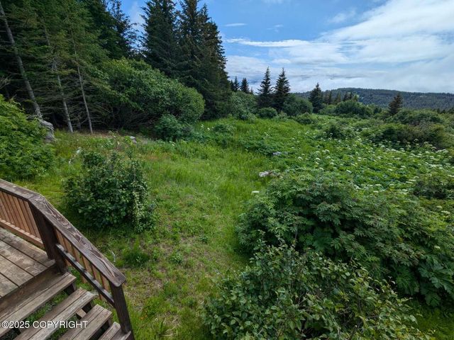41650 Charlie Drive, Homer, AK 99603