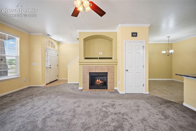 6585 Baytree Grove, Colorado Springs, CO 80923