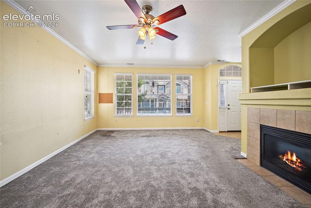 6585 Baytree Grove, Colorado Springs, CO 80923