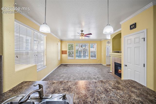 6585 Baytree Grove, Colorado Springs, CO 80923
