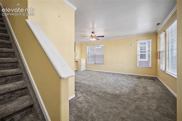 6585 Baytree Grove, Colorado Springs, CO 80923
