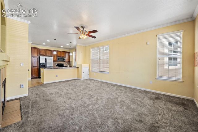 6585 Baytree Grove, Colorado Springs, CO 80923