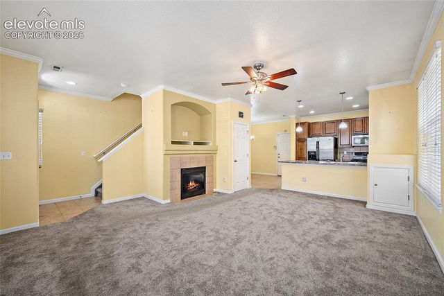 6585 Baytree Grove, Colorado Springs, CO 80923