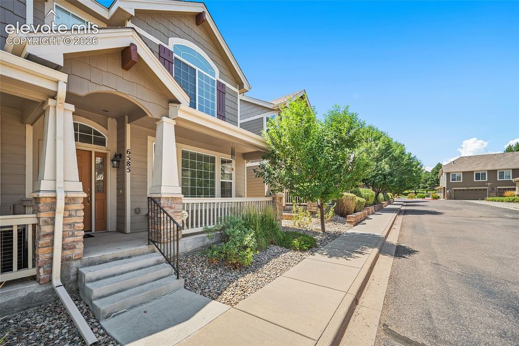 6585 Baytree Grove, Colorado Springs, CO 80923 — photo 3