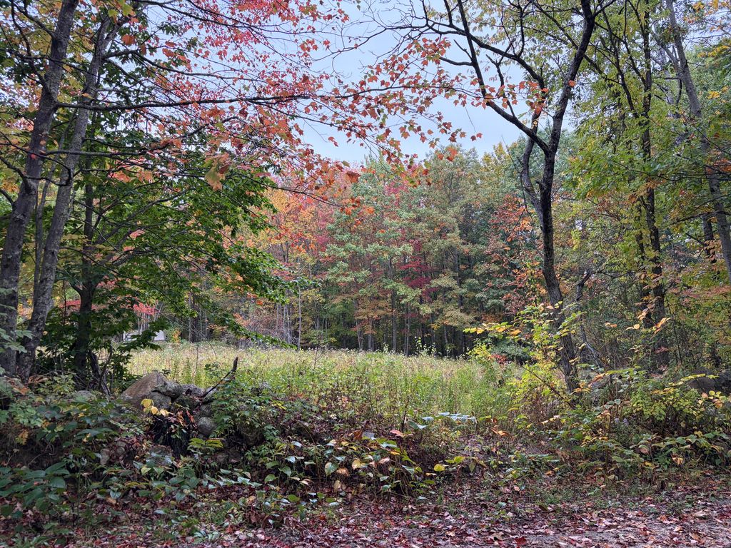Lot 13-B2 S Town Farm Road, Oxford, ME 04270 — photo 2