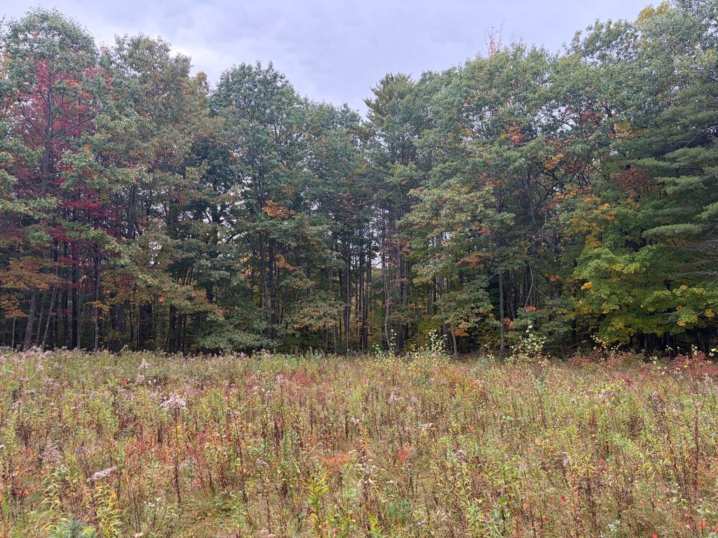 Lot 13-B2 S Town Farm Road, Oxford, ME 04270 — photo 3