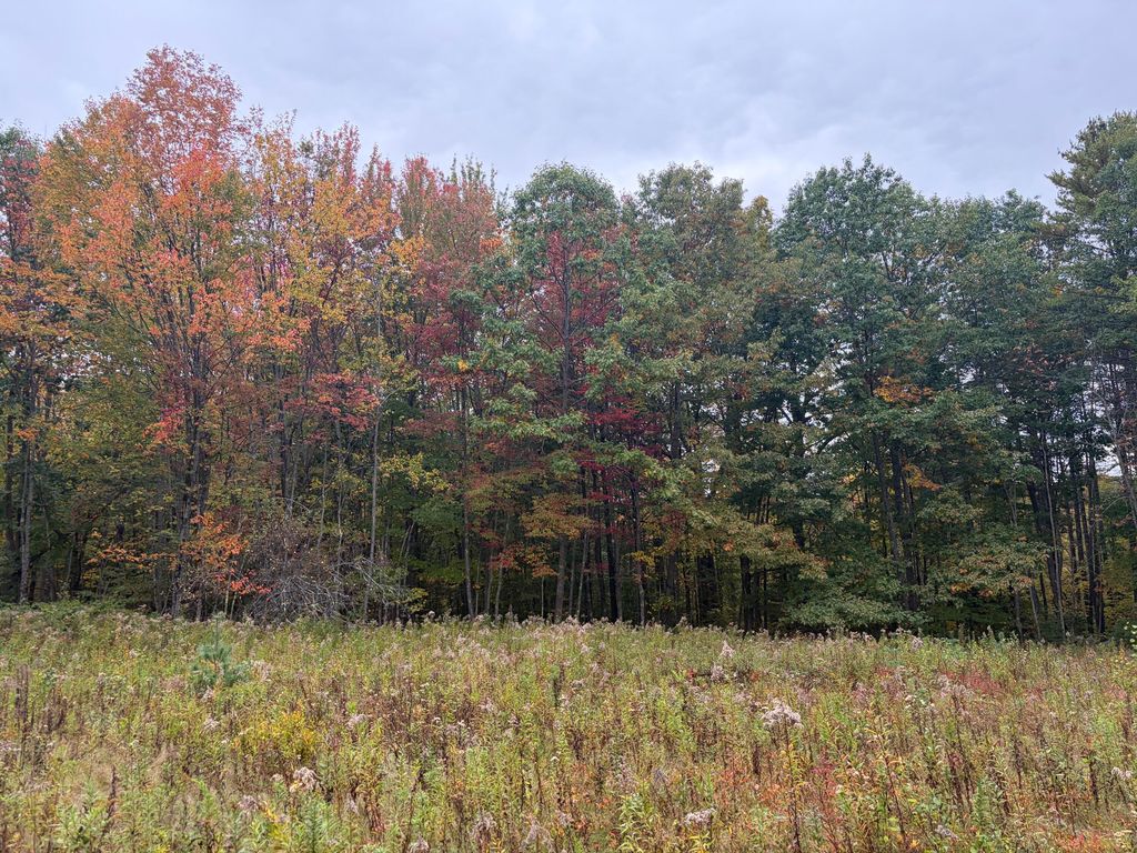 Lot 13-B2 S Town Farm Road, Oxford, ME 04270 — photo 4