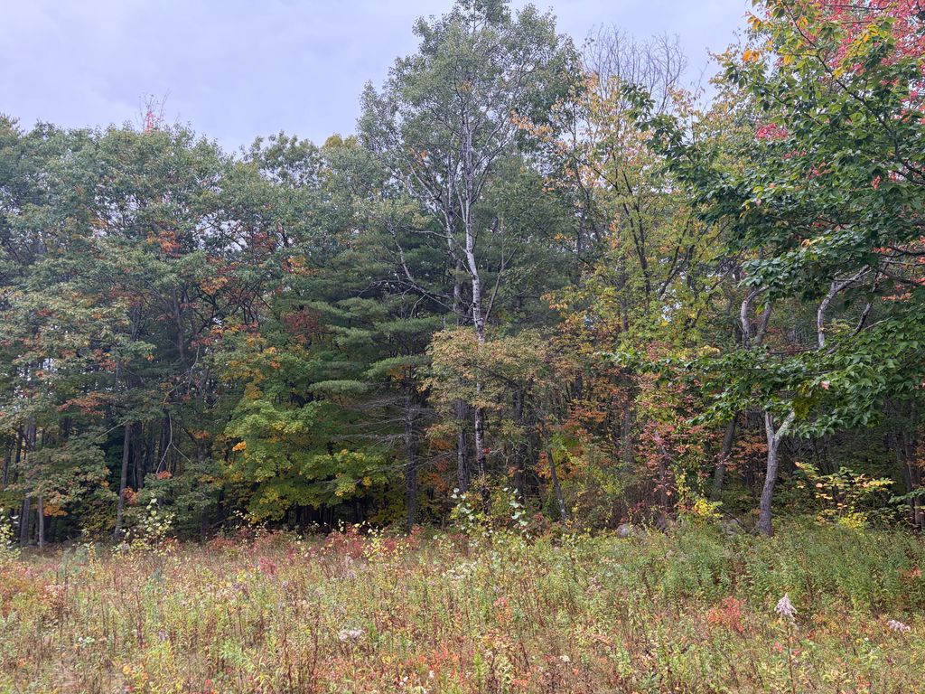 Lot 13-B2 S Town Farm Road, Oxford, ME 04270 — photo 5