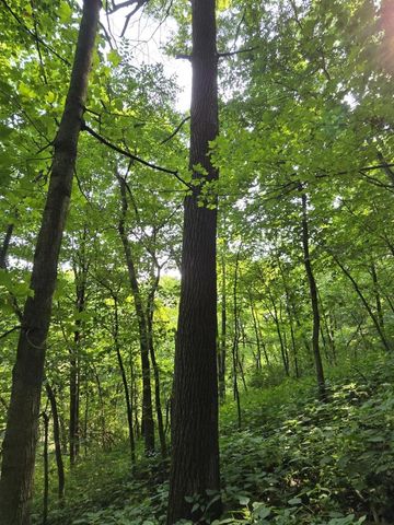 47298 Honey Farm Road, Gays Mills, WI 54631