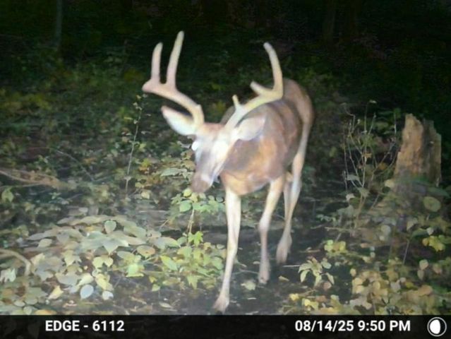 47298 Honey Farm Road, Gays Mills, WI 54631