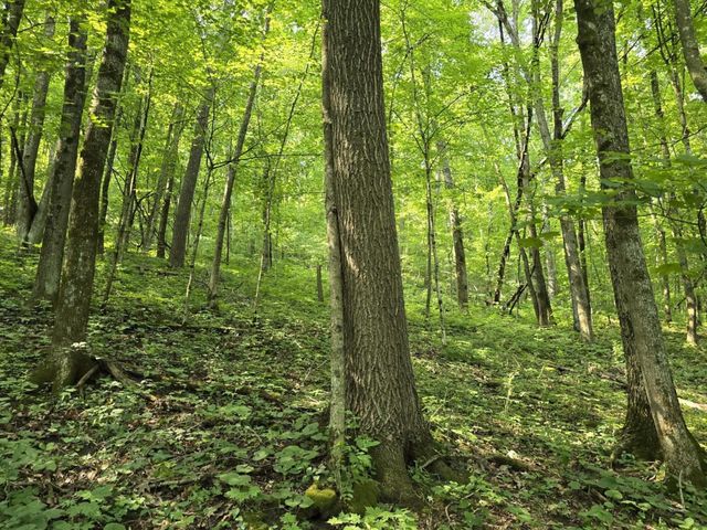 47298 Honey Farm Road, Gays Mills, WI 54631