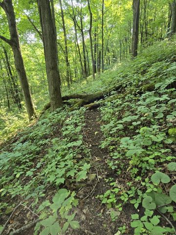 47298 Honey Farm Road, Gays Mills, WI 54631