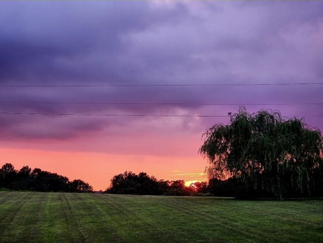 4591 Benson Rd, Springfield, TN 37172