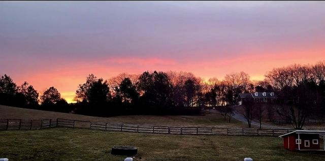 4591 Benson Rd, Springfield, TN 37172