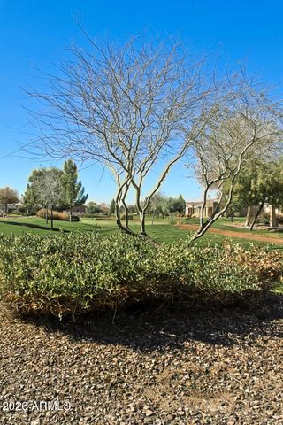41801 W CACTUS FLOWER --, Maricopa, AZ 85138