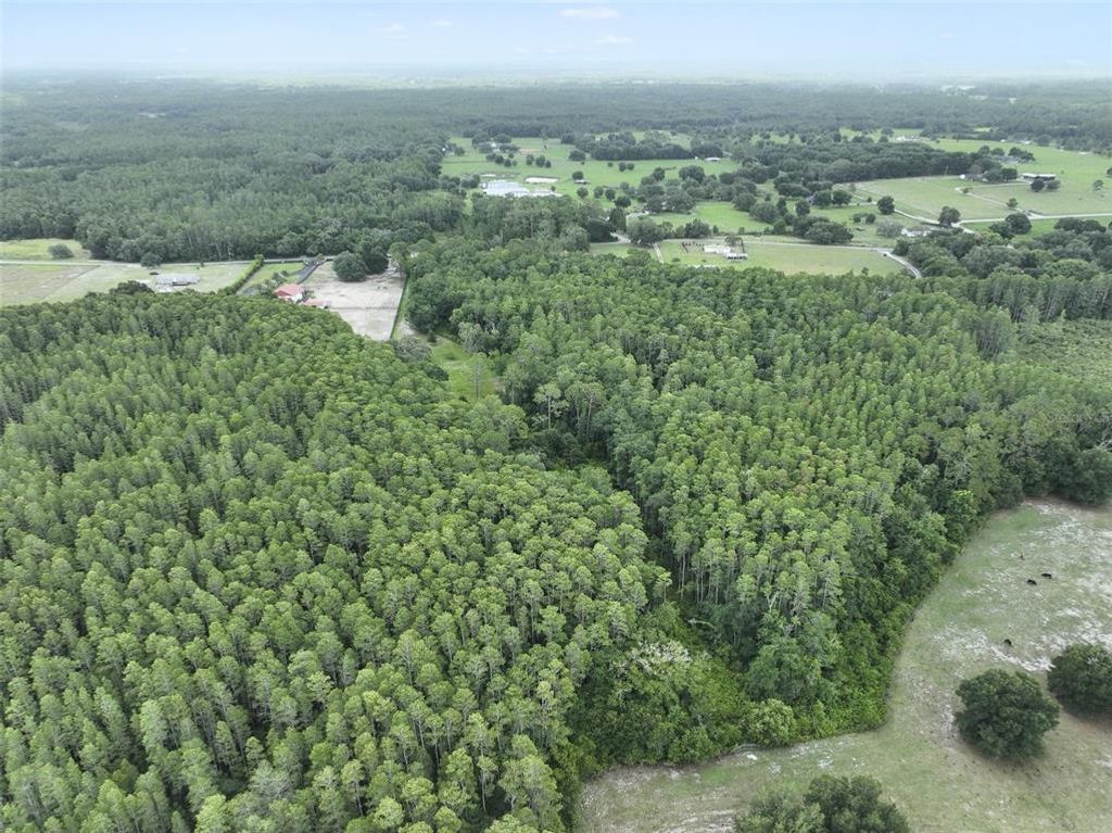 8449 BAY LAKE ROAD, Groveland, FL 34736