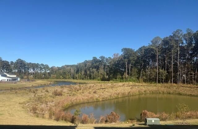 414 Great Egret Trace, Summerville, SC 29486