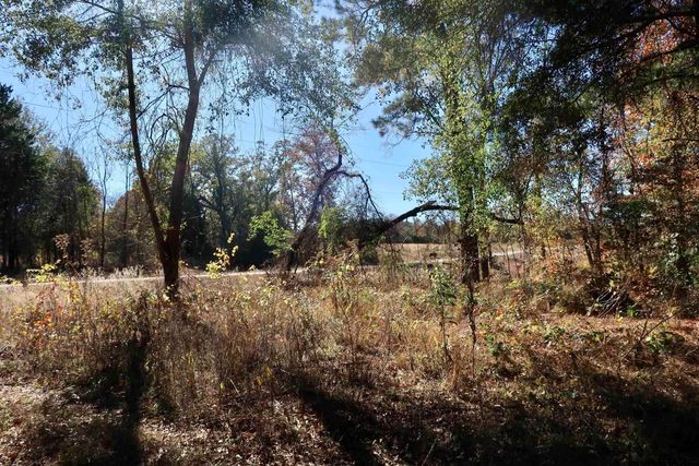 16619 Ridgeline Loop, Winona, TX 75792
