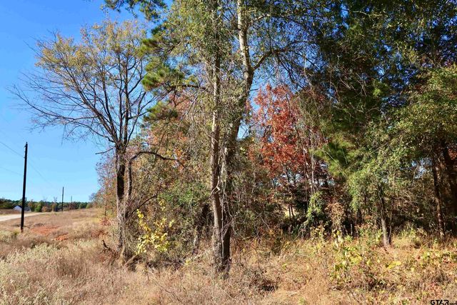 16619 Ridgeline Loop, Winona, TX 75792