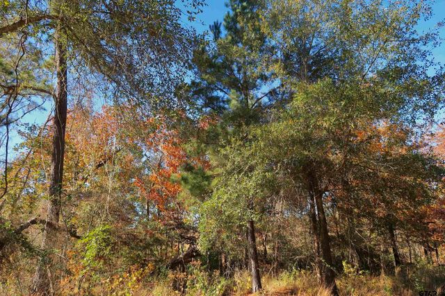16619 Ridgeline Loop, Winona, TX 75792