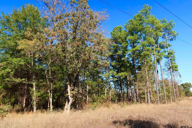 16619 Ridgeline Loop, Winona, TX 75792