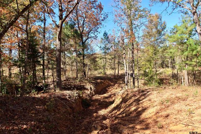 16619 Ridgeline Loop, Winona, TX 75792