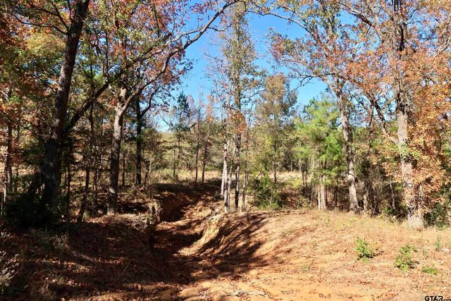 16619 Ridgeline Loop, Winona, TX 75792