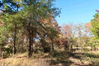 16619 Ridgeline Loop, Winona, TX 75792