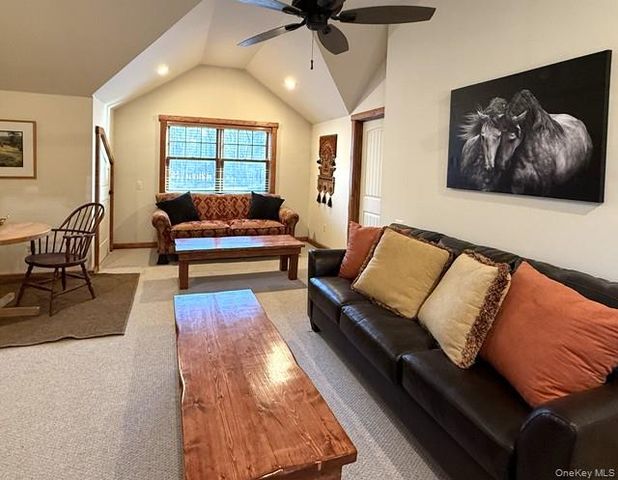 55 Chapin Trail, Bethel, NY 12720