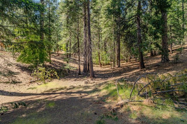 27395 Chaparral Dr, Pioneer, CA 95666