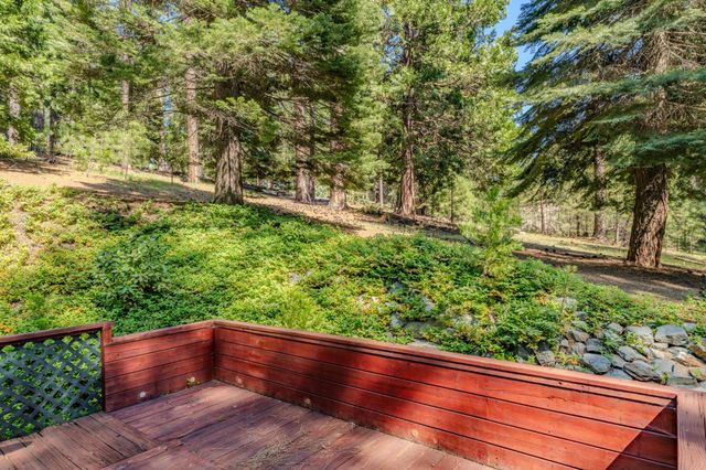 27395 Chaparral Dr, Pioneer, CA 95666