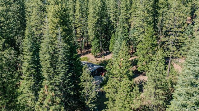 27395 Chaparral Dr, Pioneer, CA 95666