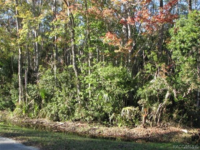 935 NE 5th Avenue, Crystal River, FL 34428