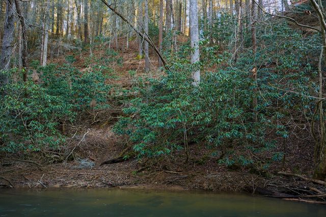 Lot 56 Riverbend Trail, Ellijay, GA 30540