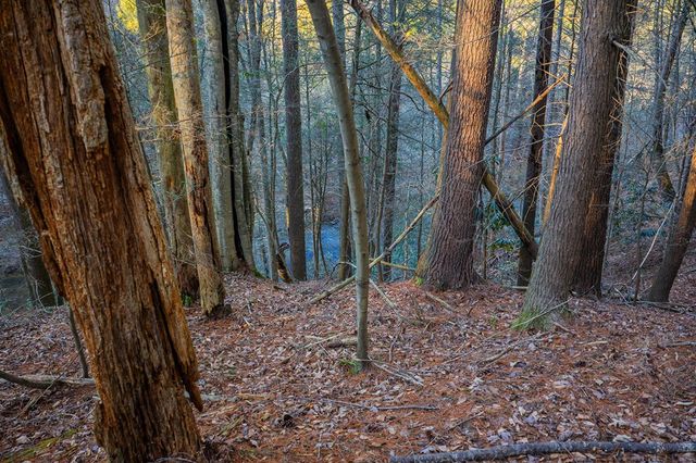 Lot 56 Riverbend Trail, Ellijay, GA 30540