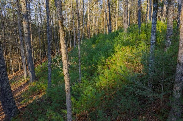 Lot 56 Riverbend Trail, Ellijay, GA 30540