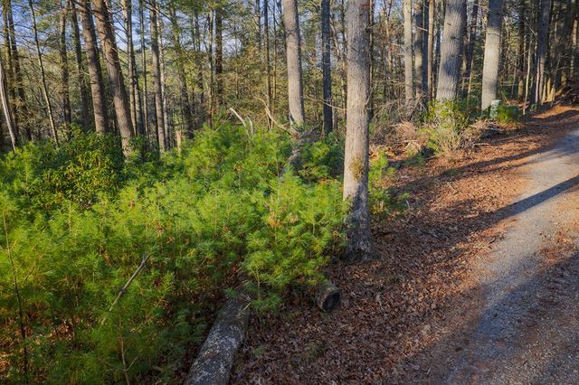 Lot 56 Riverbend Trail, Ellijay, GA 30540