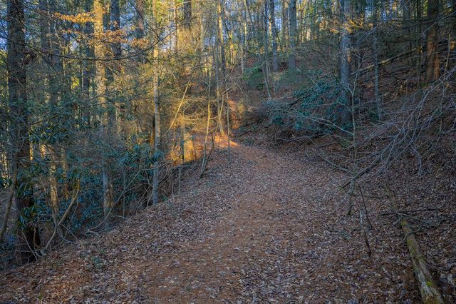 Lot 56 Riverbend Trail, Ellijay, GA 30540