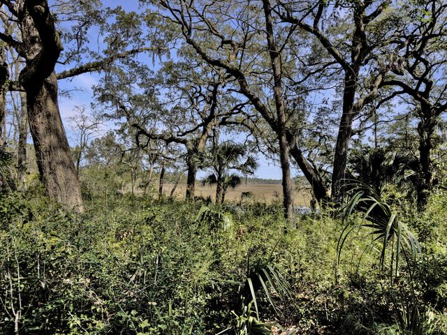 161 Etiwan Pointe Drive, Mount Pleasant, SC 29464