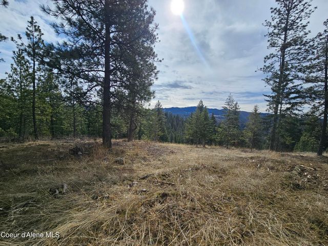 2252 E Badger Rd, Harrison, ID 83833