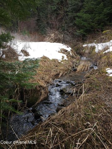 2252 E Badger Rd, Harrison, ID 83833