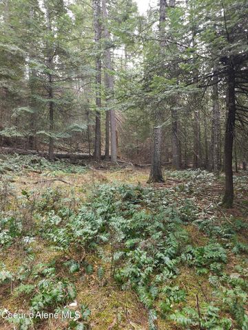 2252 E Badger Rd, Harrison, ID 83833